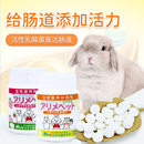 艾利美佳乳酸菌片兔兔保健品调节肠胃提高免疫力小宠荷兰猪豚鼠