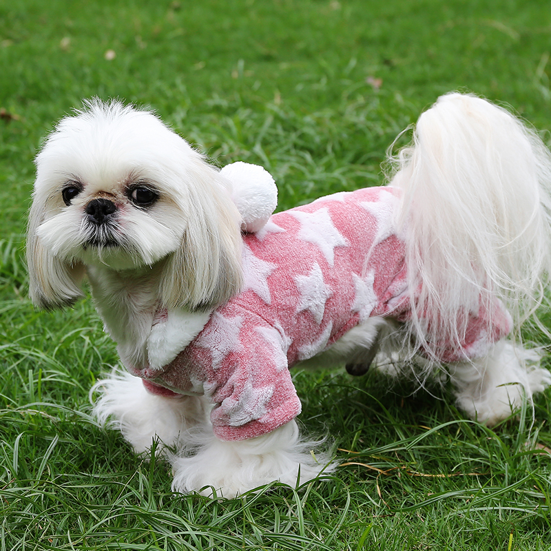 2件9折，3件8折博美小型幼犬比熊