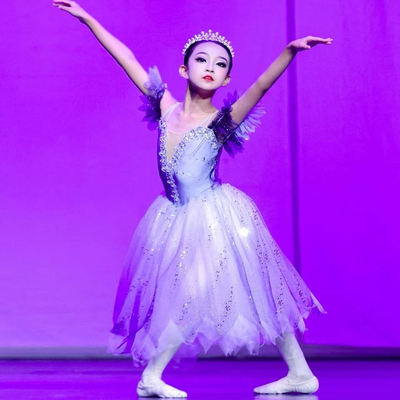 法老的女儿芭蕾裙儿童专业表演服灰色比赛蓬蓬长裙成人芭蕾演出服