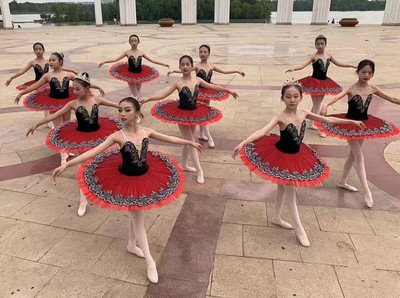 小天鹅专业tutu表演服芭蕾舞裙