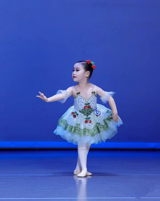 萝卜缨子樱桃萝卜变奏芭蕾舞裙演出长蓬蓬纱裙专业定制款GDC纱裙