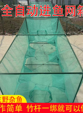 自动进鱼网箱只进不出杂鱼鲫鱼白条养殖笼子捕鱼神器鱼塘水库专用