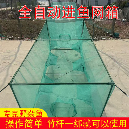 自动进鱼网箱只进不出杂鱼鲫鱼白条养殖笼子捕鱼神器鱼塘水库专用