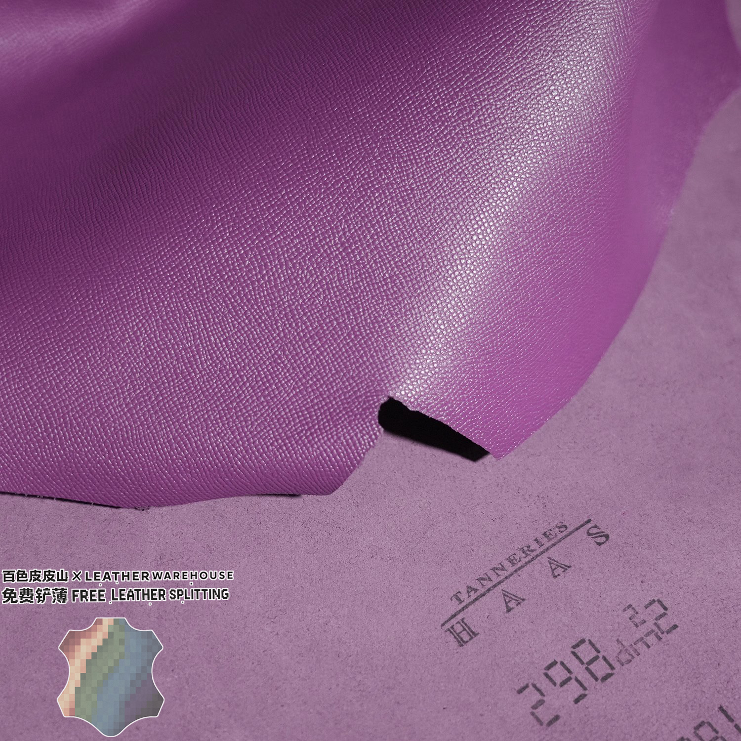 法国HAASH家EPSOM海葵紫掌纹