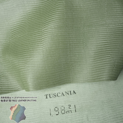 意大利TUSCANIA鼠尾草绿蜥蜴纹