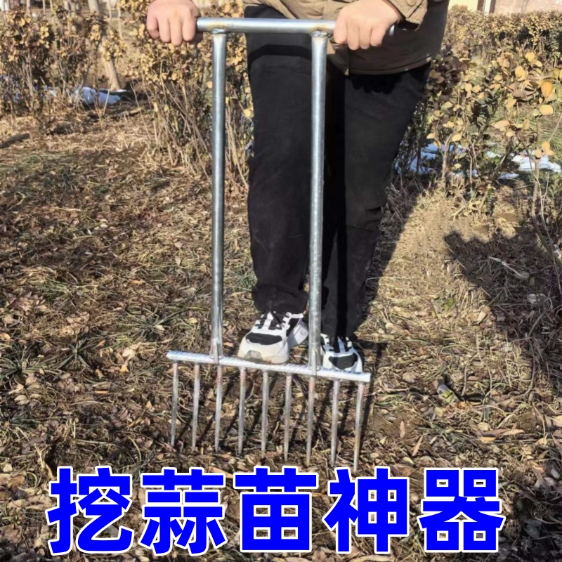 新款挖葱姜蒜苗翻地神器叉子