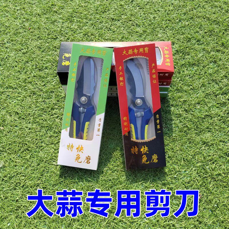 大蒜剪蔬果剪刀神器剪蒜头高硬度园林摘菜高硬度蒜须根茎农具剪刀