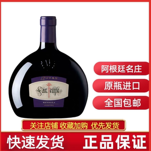 RUTINI SAN FELIPE阿根廷瑞帝利圣菲利佩12种葡萄干红葡萄酒红酒