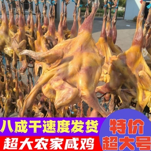 风干鸡土鸡  溧阳农家散养鸡腌制腊鸡自然晾晒地方特产非安徽包邮