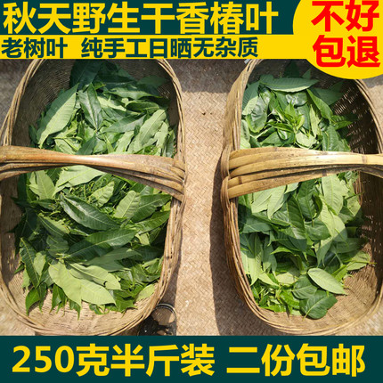 野生干香椿叶子秋天日晒老香椿树叶香椿茶无盐泡茶老人常喝250g