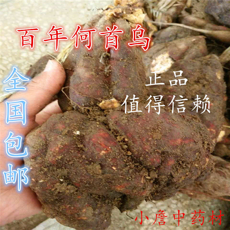 何首乌 黑发何首乌何首乌500制何首乌