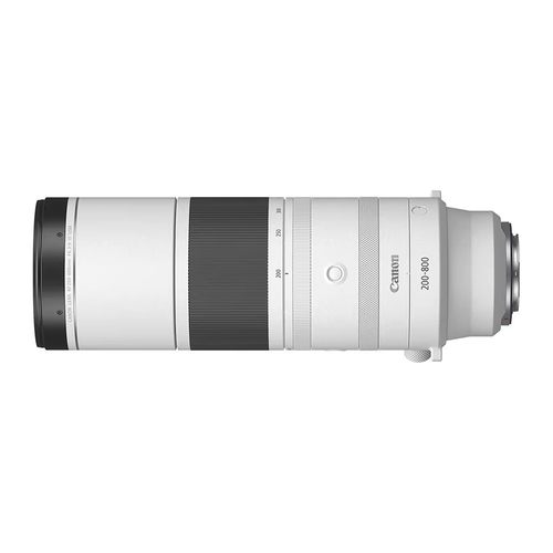 佳能RF200-800mmF6.3-9远摄打鸟