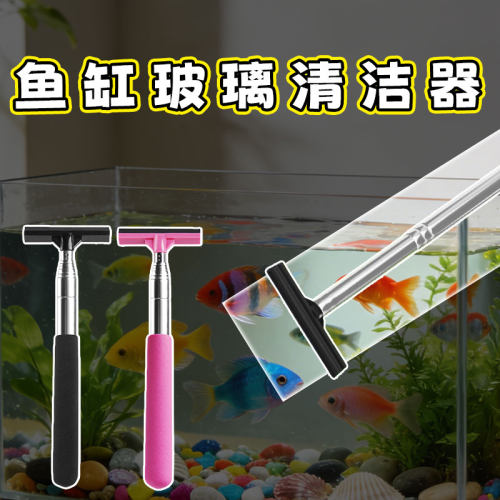 鱼缸长柄伸缩清洗神器除藻刮