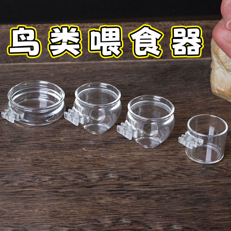 塑料鸟食碗绣眼饮水器喂食器