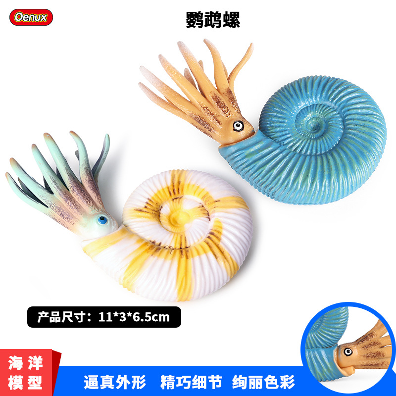 仿真海洋动物模型玩具远古生物鹦鹉螺模型 海螺 田螺儿童玩偶