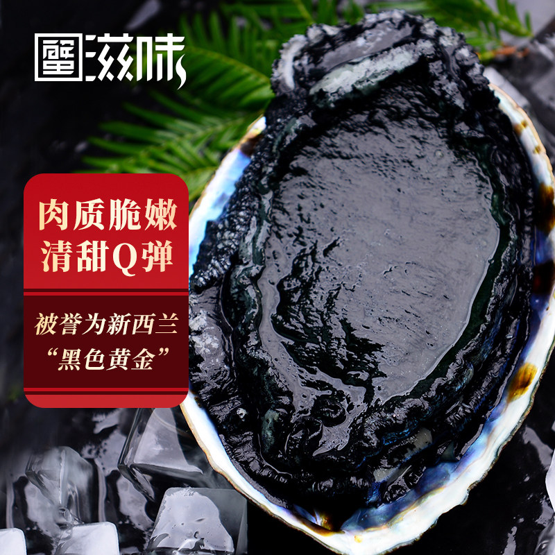 新西兰黑金鲍 鲜活冷冻深海大鲍鱼500-600g/只 刺身品质日料食材