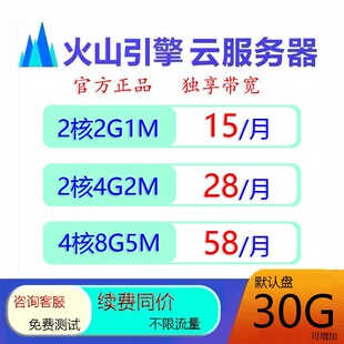 火山云服务器火山引擎BGP云主机30G独立ip可换绑租用华为云天翼云