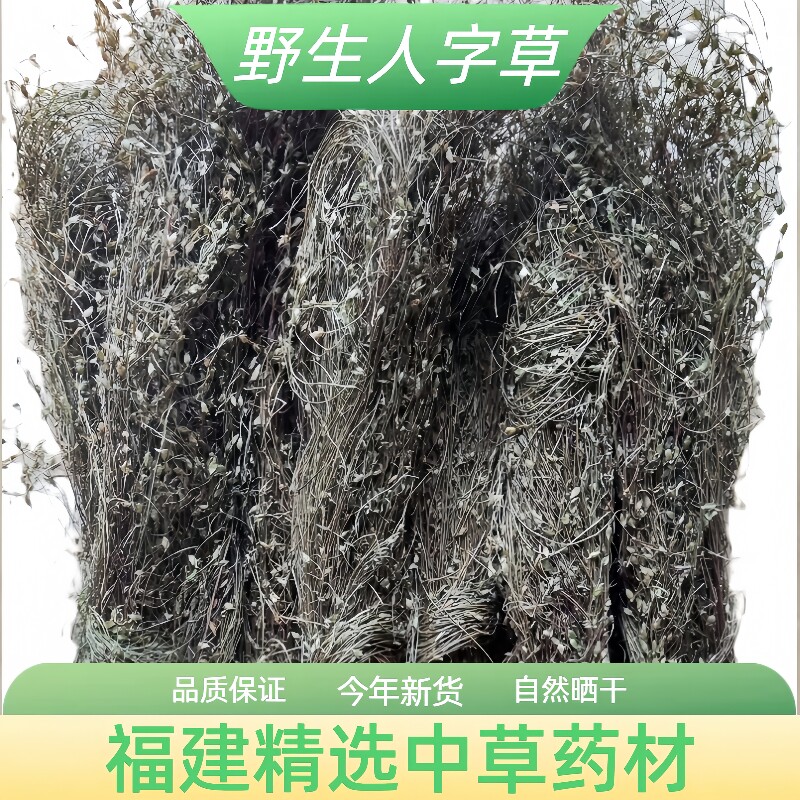 二叶人字草中药材丁癸草一条根新鲜晒干乌龙草丁贵草苍蝇翼蚂蚁草