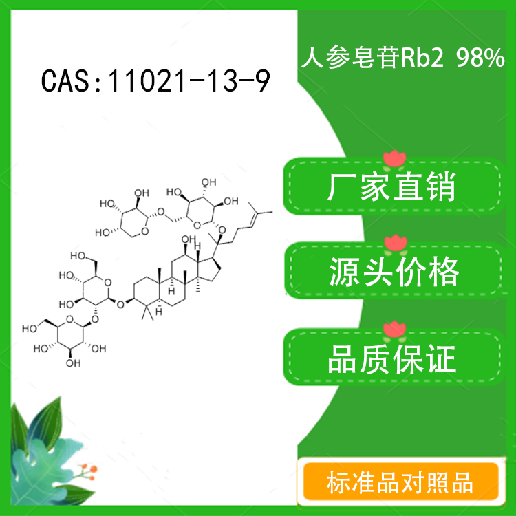 人参皂苷rb2 98% 对照品标准品 cas:11021-13-9 10mg/20mg 瓶装