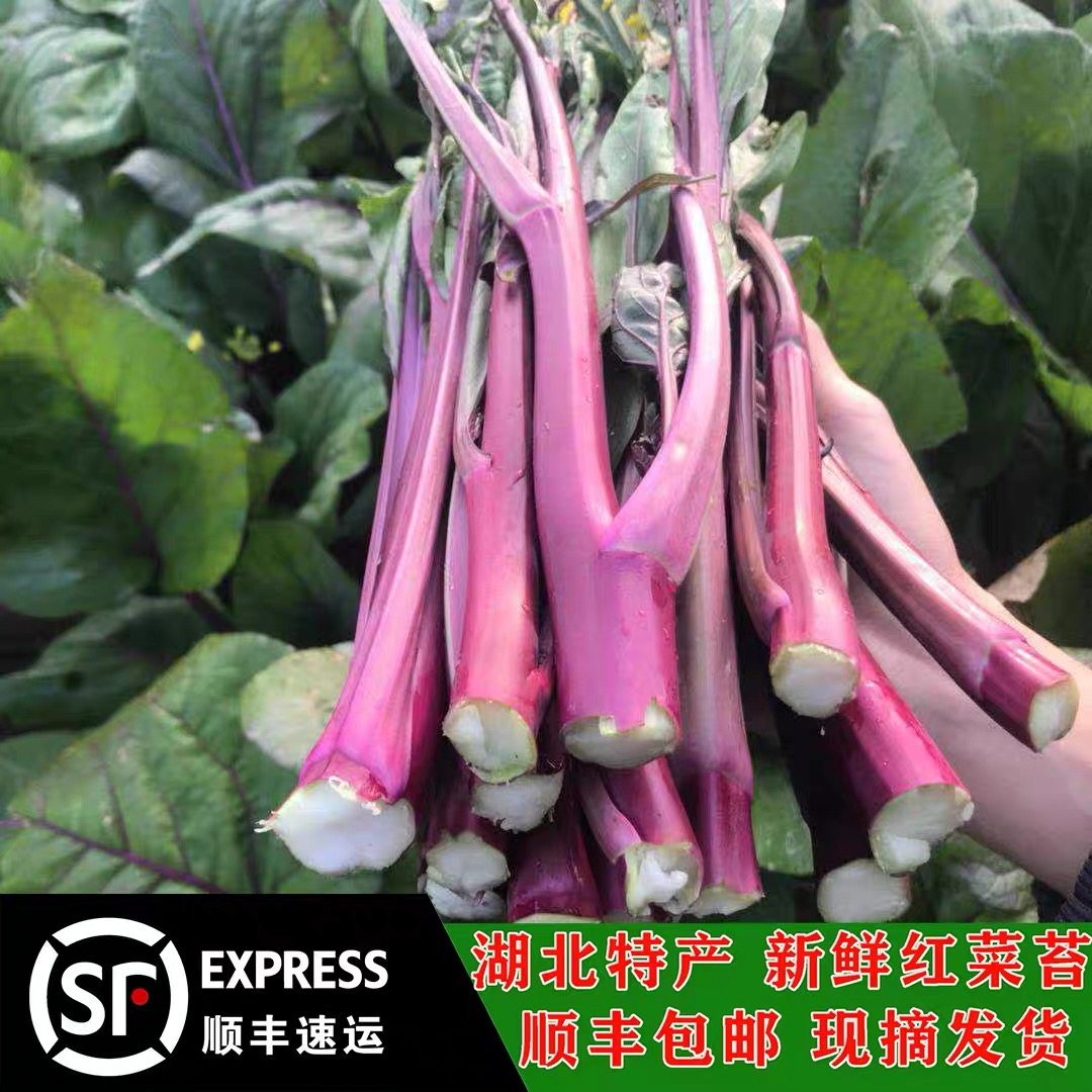 洪湖红菜苔新鲜蔬菜农家自种红菜苔菜心菜苔菜心菜苔菜心菜苔菜心,水产肉类/新鲜蔬果/熟食,叶菜类,淘宝优惠券,粉丝福利购,淘宝优惠卷