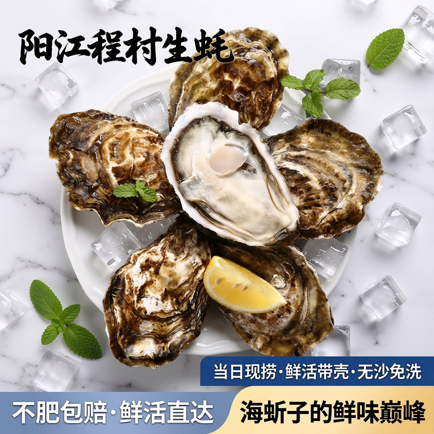 阳江程村白蚝送礼装鲜活无沙脆口