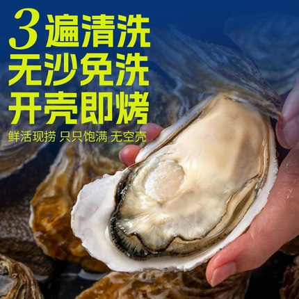 台山鲜活生蚝特大刺身级5斤装 清蒸烧烤现捞现发死蚝包赔京东冷链