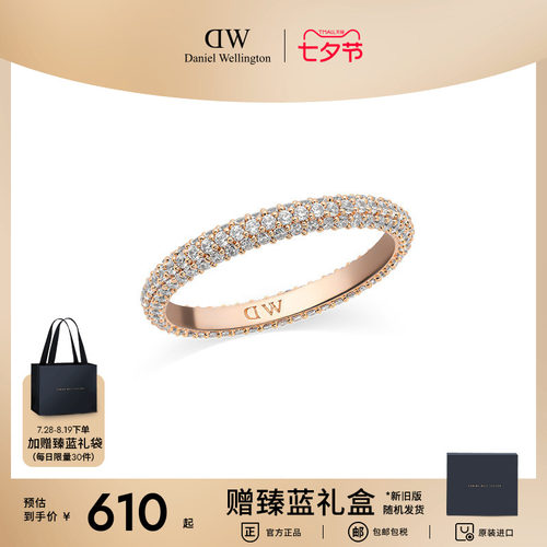 DW闪耀锆石密镶星耀戒指轻奢配饰