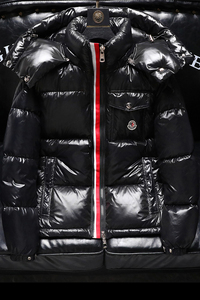新款连帽羽绒服90白鸭绒可脱卸 QT2031-13266-P480（控价620）图片