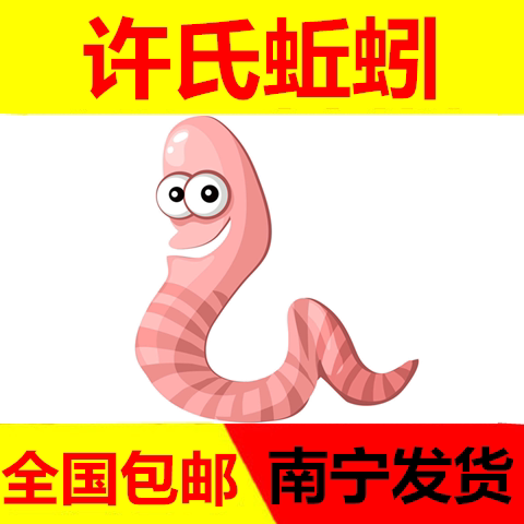 大红蚯蚓活体野钓鱼饵活饵鲜活红虫大平二号垂钓饵料钓鱼龟料图片