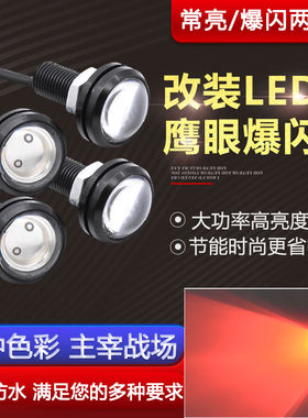 电动车装饰彩灯摩托车螺丝灯12v改装led车牌灯牌照灯鹰眼灯爆闪灯