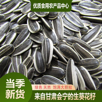 葵花籽新货甘肃会宁葵花籽