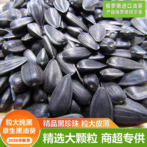 俄罗斯新货生葵花籽黑瓜子