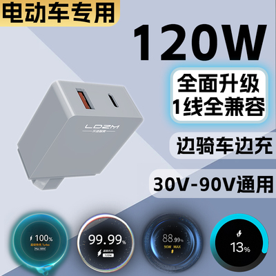 LDZM120W全兼容电瓶车手机充电器