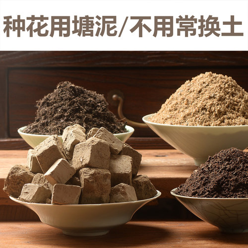 香氏塘泥碗莲专用荷塘泥河沙蚯蚓粪泥炭土多肉营养土兰花土泥土 - 封面