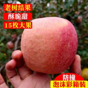 大果新鲜水果红富士丑苹果冰糖心脆甜山西运城临猗农家原生态孕婴
