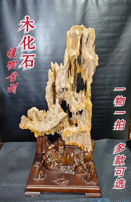 8 奇石摆件 玛瑙戈壁石木化石太湖石 原石带底座观赏石文玩收藏品