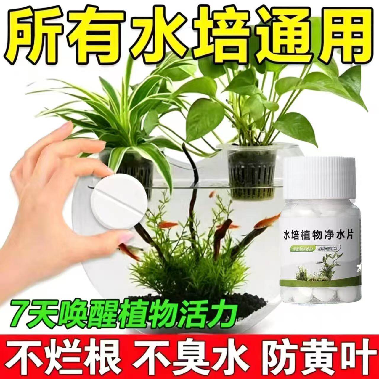 水培植物增氧片净水片营养片防臭水促生根浑水水培花卉通用净水片