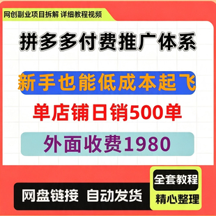 拼多多付费推广体系，新手也能低成本起飞