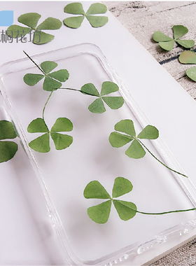 四叶草田字草diy材料植物标本