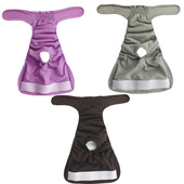 女 子宠物月经安全防骚扰内裤 狗狗防水透气生理裤 母金毛中大型犬裤