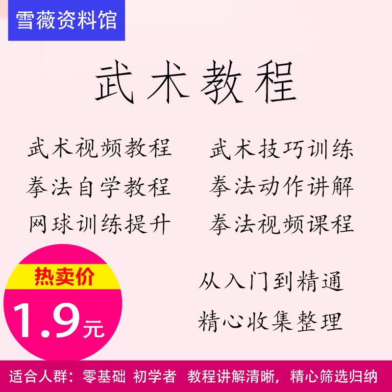 武术教程视频课程套装零基础初学者自学教学资料合集