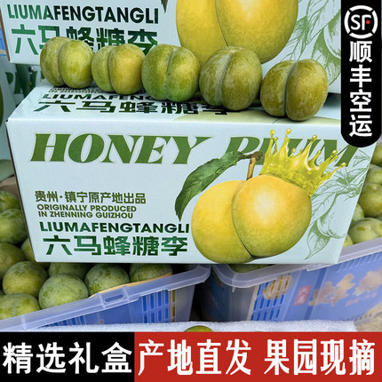 正宗六马蜂糖李鲜果大果礼盒应季水果大脱骨贵州镇宁产地直发顺丰