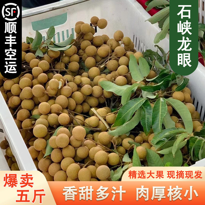 海南石峡龙眼5斤礼盒大果带枝条应季新鲜现摘摘水果桂圆 顺丰空运