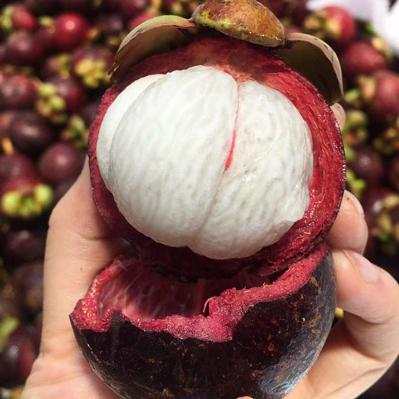 【5A大果】山竹新鲜大果5斤泰国进口当季整箱孕妇甜多汁顺丰包邮