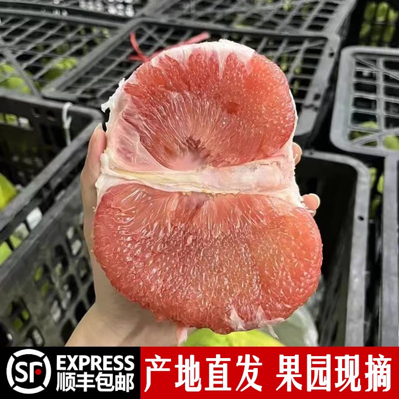 泰国红宝石青柚蜜柚9斤大果应季
