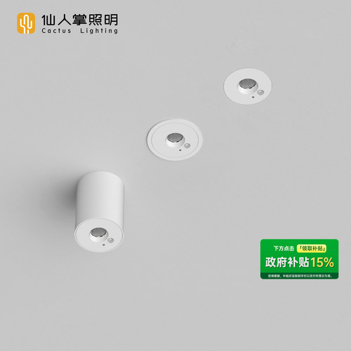 仙人掌照明嵌装过道玄关感应射灯