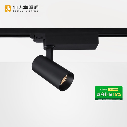 仙人掌照明嵌装猪嘴防眩轨道灯