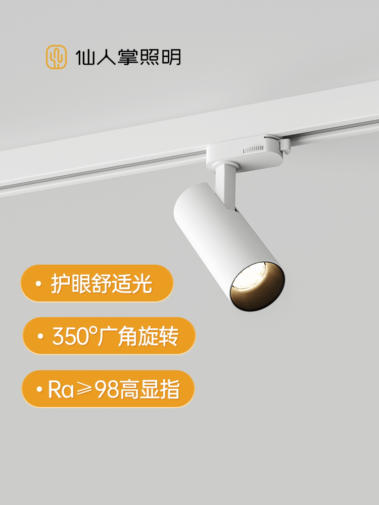 Cactus lighting встроенный трековый прожектор с антибликовым покрытием, установленный на поверхности, регулируемый угол наклона без основного освещения, фоновый настенный прожектор для спальни Изображение 1