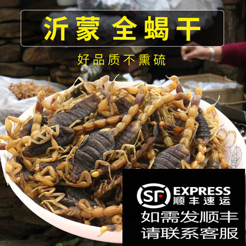 清水食用50克包邮冷冻保存蝎子