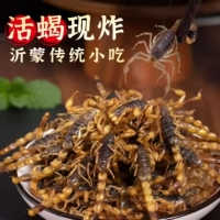 油炸蝎子活体食用蝎子沂蒙小吃食用全蝎拍下后默认同意现炸现发